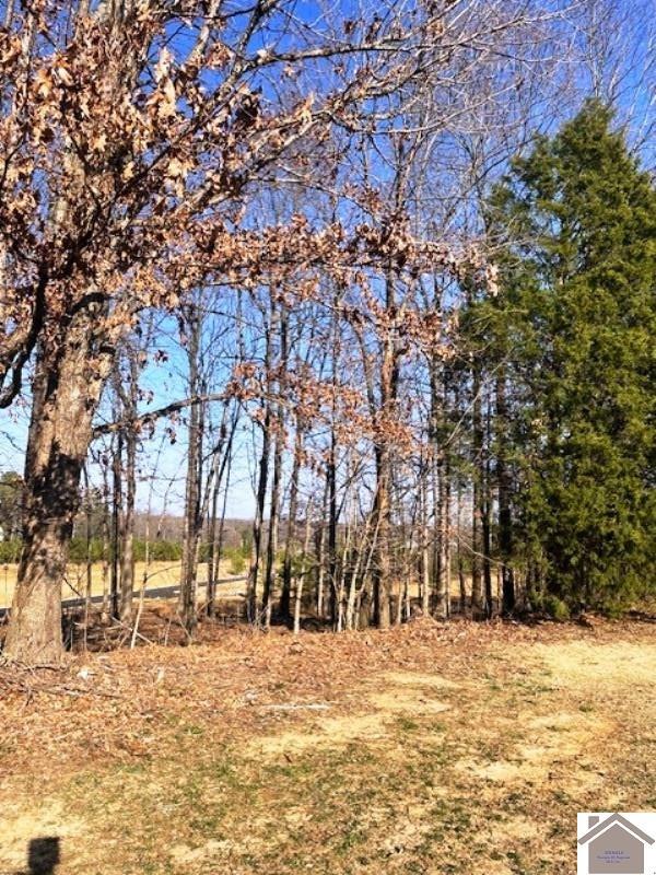 Property Photo: Lot 88 Forest Ridge Dr KY 42003