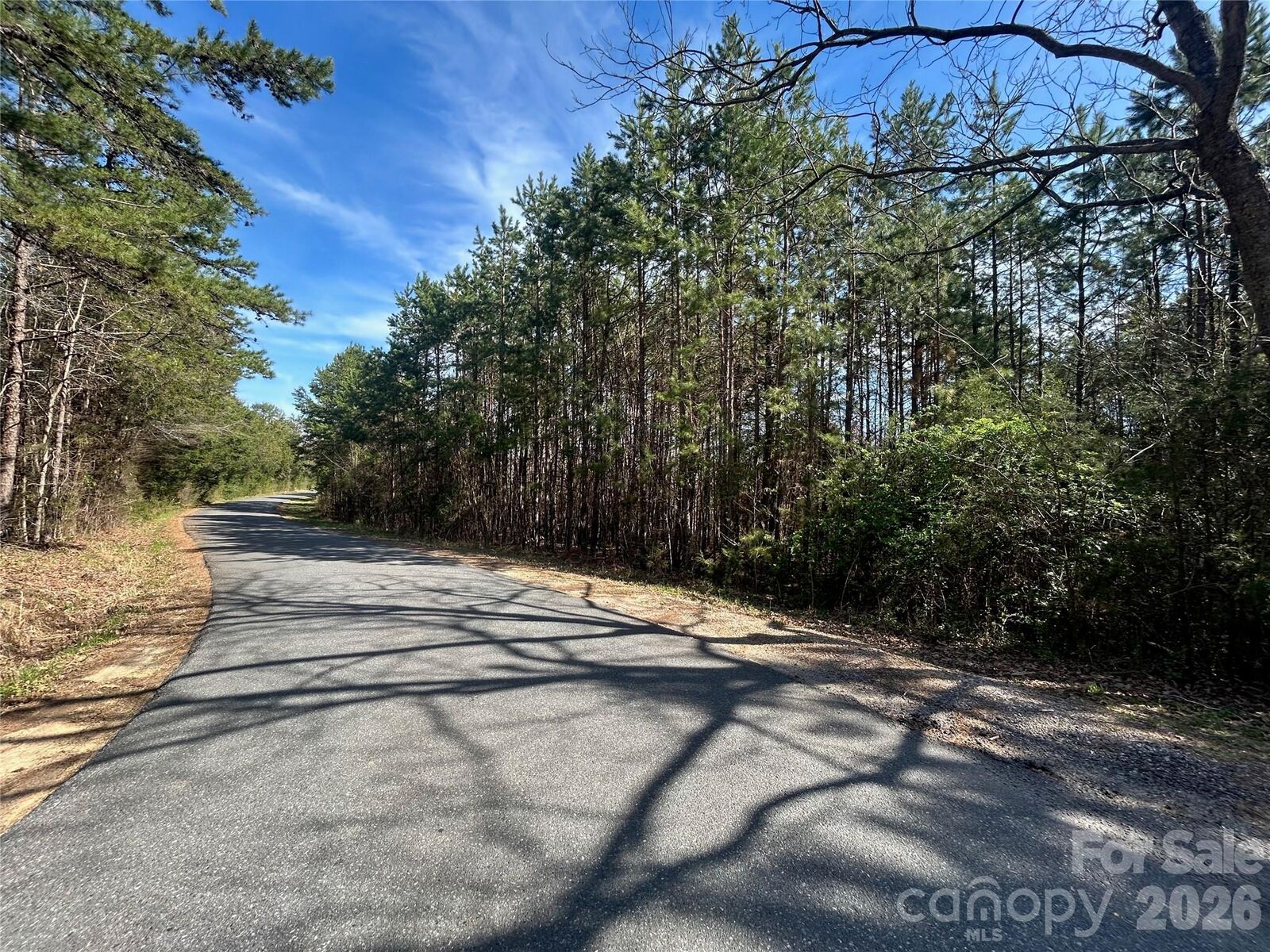 Property Photo:  Tbd Green Pond Road  SC 29707 