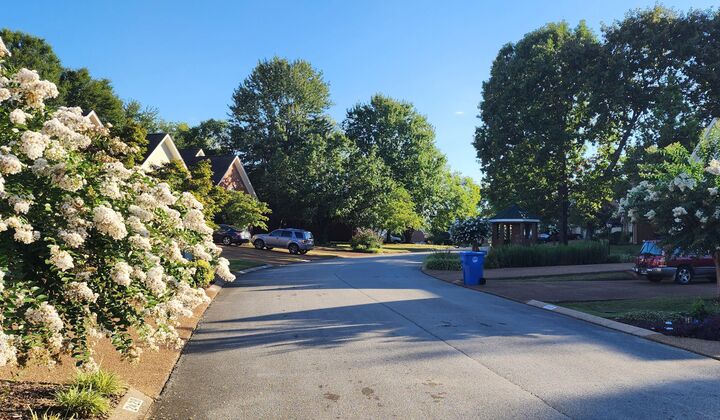 Property Photo:  2415 Royal Fern Trail  TN 37421 