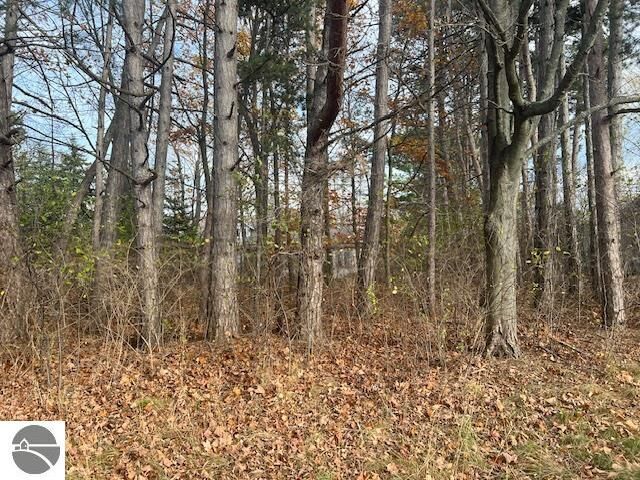 Property Photo:  Lot 19 S Chandler Street  MI 49654 