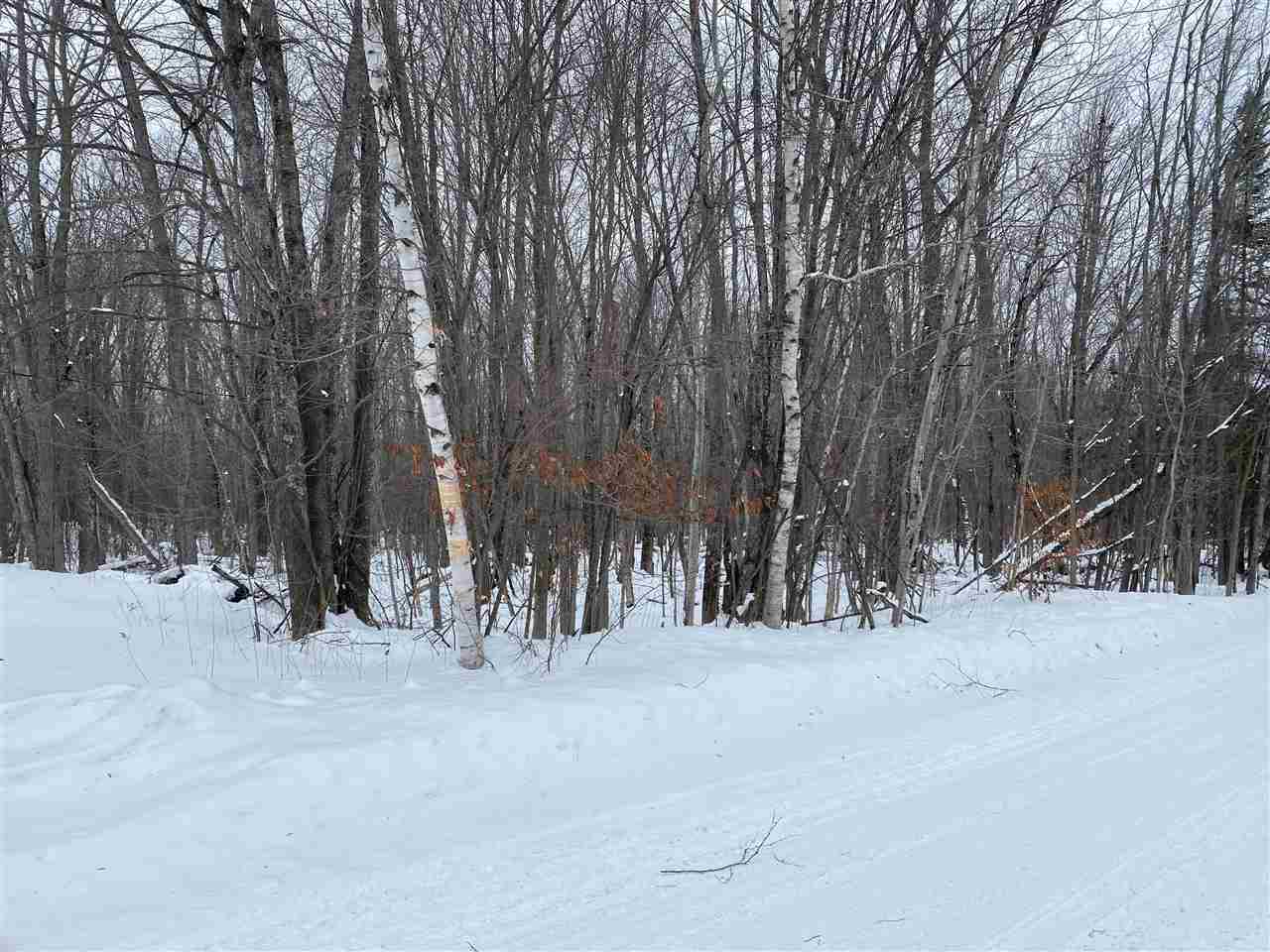 Property Photo: Parcel B Silver Strand MI 49755