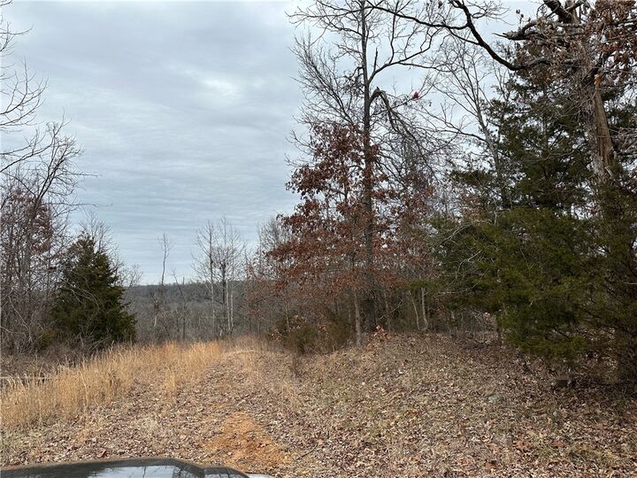 Property Photo: Lot 4 Deer Meadows Lane AR 72687