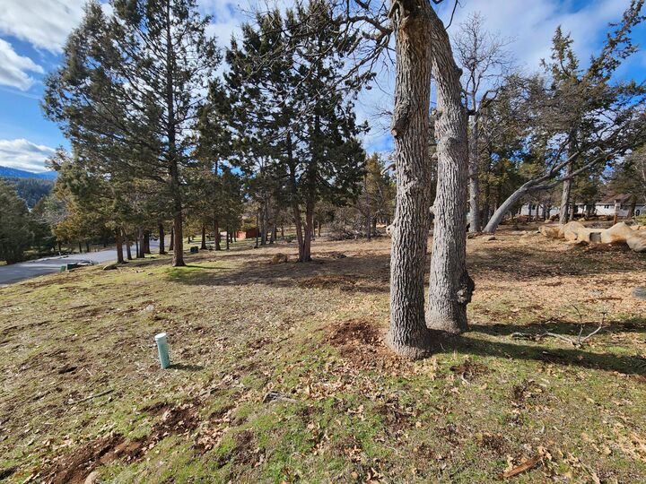 Property Photo: Coopers Hawk 259 OR 97601