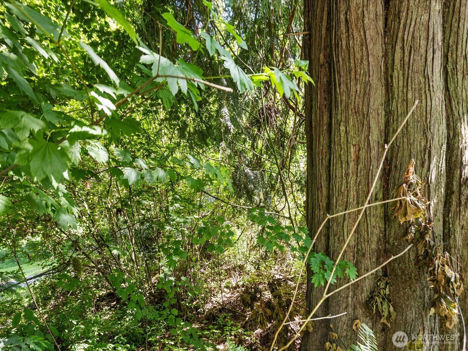 Property Photo:  16918  117th Place NE  WA 98223 