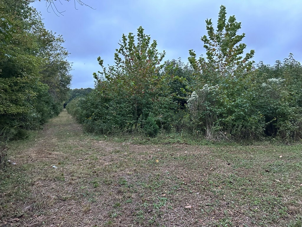 Property Photo: Lot 17 Red Bank Rd VA 23413