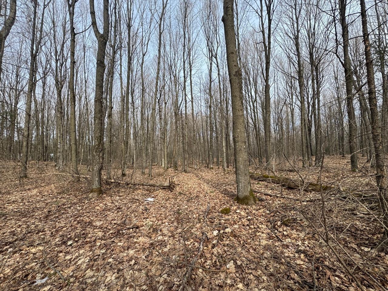 Property Photo: Parcel A Private Rd WI 54547