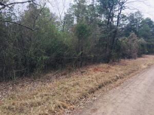 Property Photo: 89 Eagles Nest, Cr 1788 AR 72847