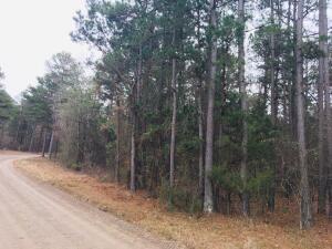 Property Photo:  94 Eagles Nest, Cr 1788  AR 72847 