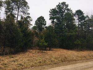 Property Photo: 50 Eagles Nest, Cr 1792 AR 72847
