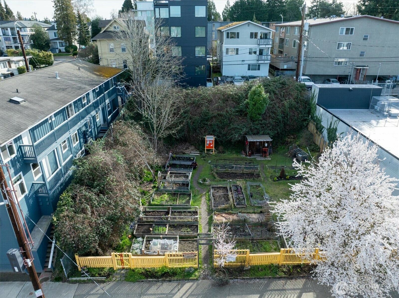 5520  University Way NE  Seattle WA 98105 photo