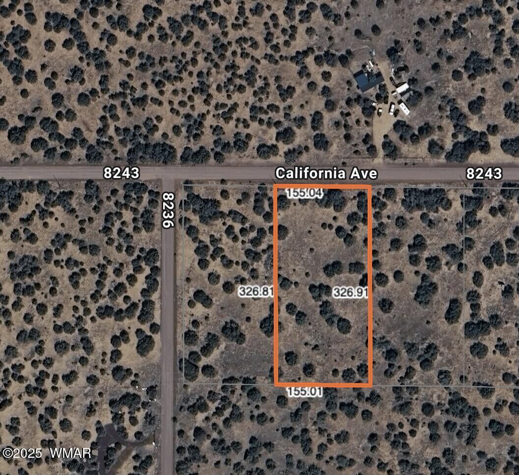 Property Photo: 44 County Road # 8243 AZ 85924