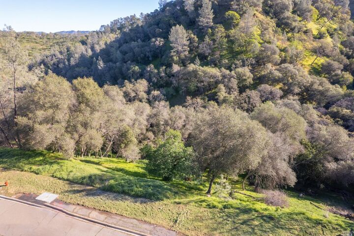 Property Photo:  1121 Steele Canyon Road  CA 94558 