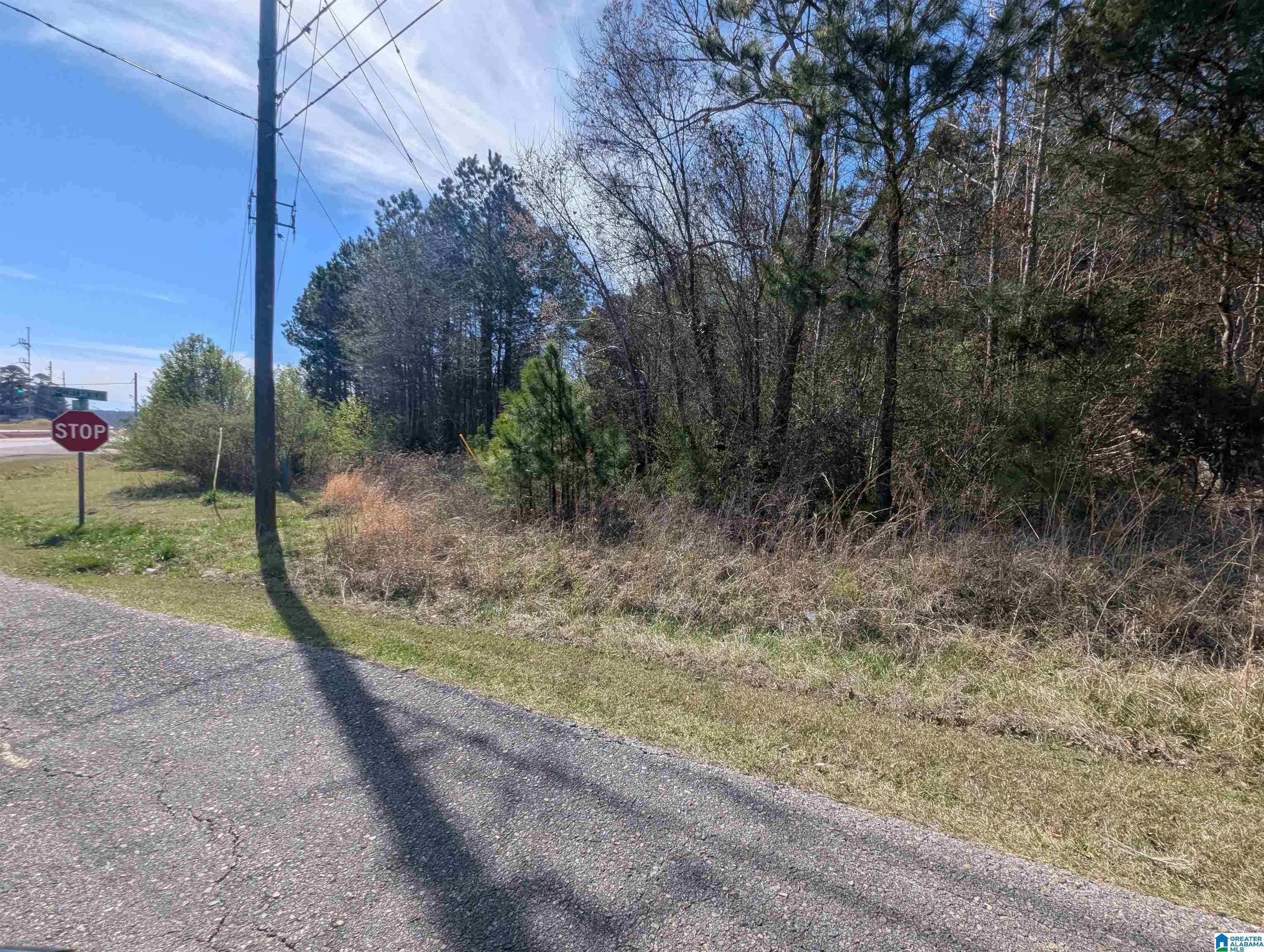 Property Photo: 0 Spiral Street 2 AL 36201