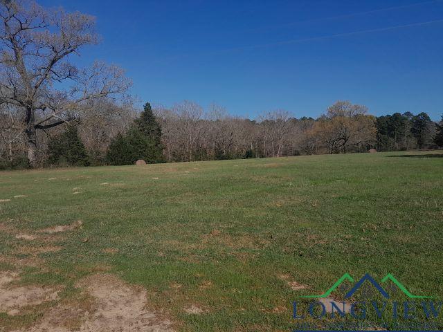 Property Photo: 8438 Cr 373 D TX 75654