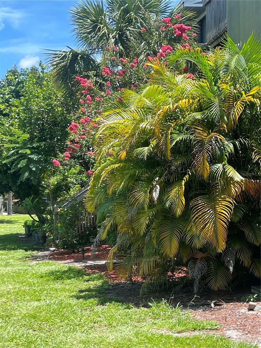Property Photo: 293 Scottsdale Square 293 FL 32792