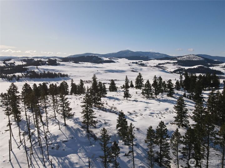 Property Photo:  100 Tbd S Teal Lake Road  WA 98844 