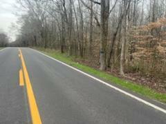 Property Photo: Lot 3 Highway 304 TN 37322