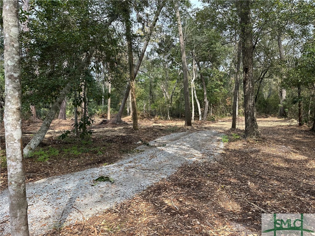 Property Photo: 0 Oemler Road GA 31410