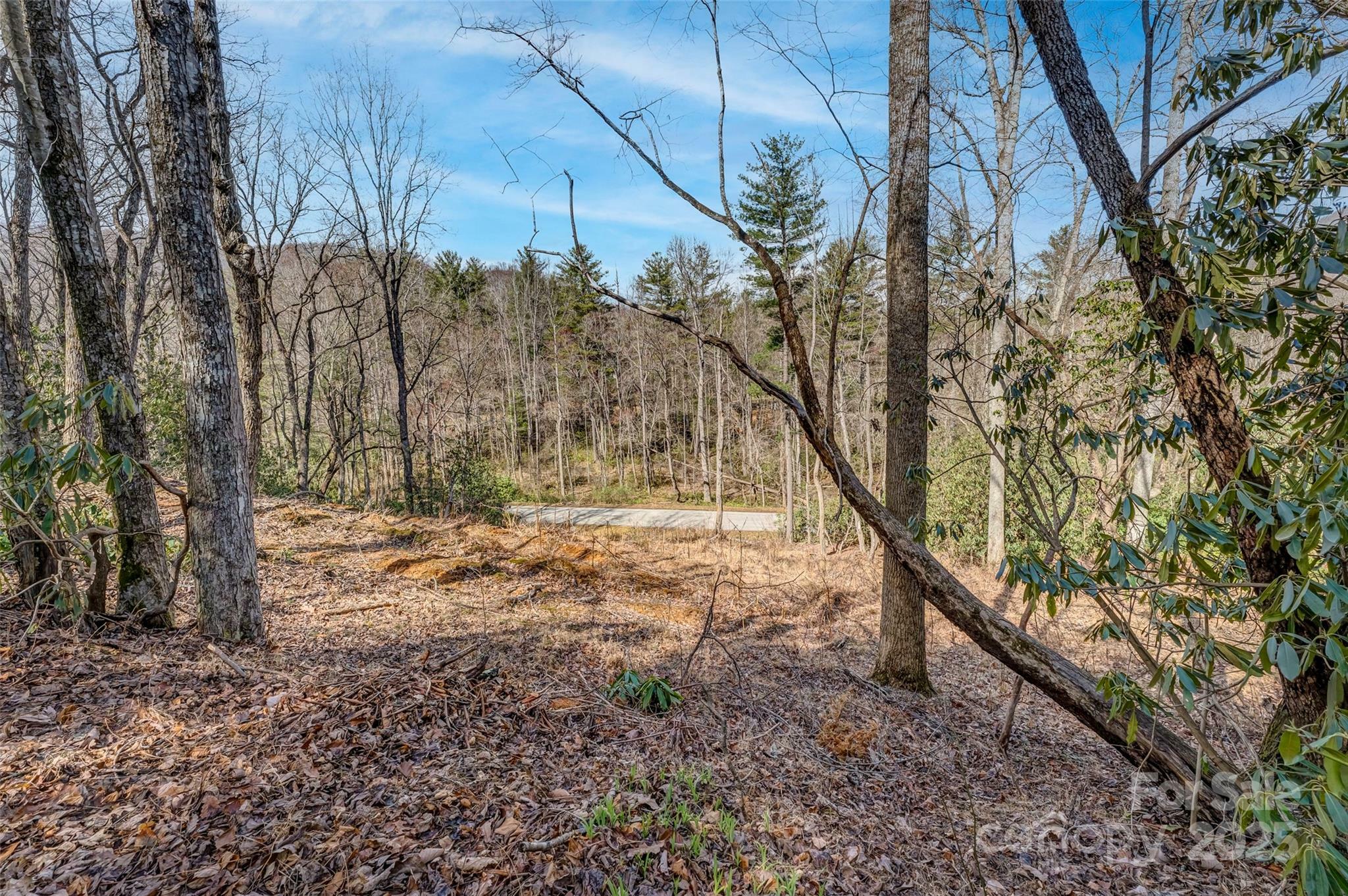 Property Photo: 99999 Christa Lane 3 NC 28742