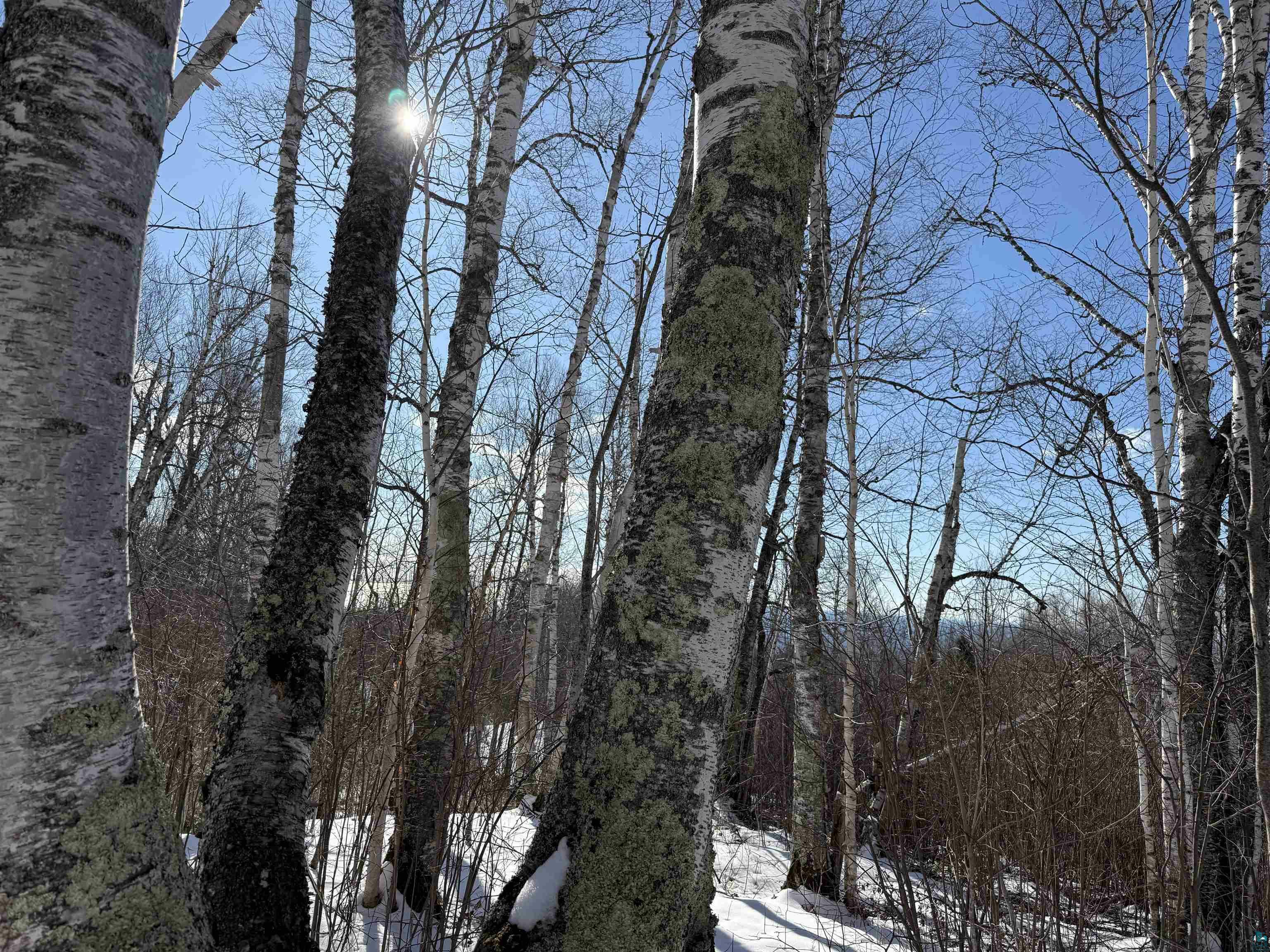 Property Photo: Xx9 Murphy Dr Lot 9, Block 1 MN 55604