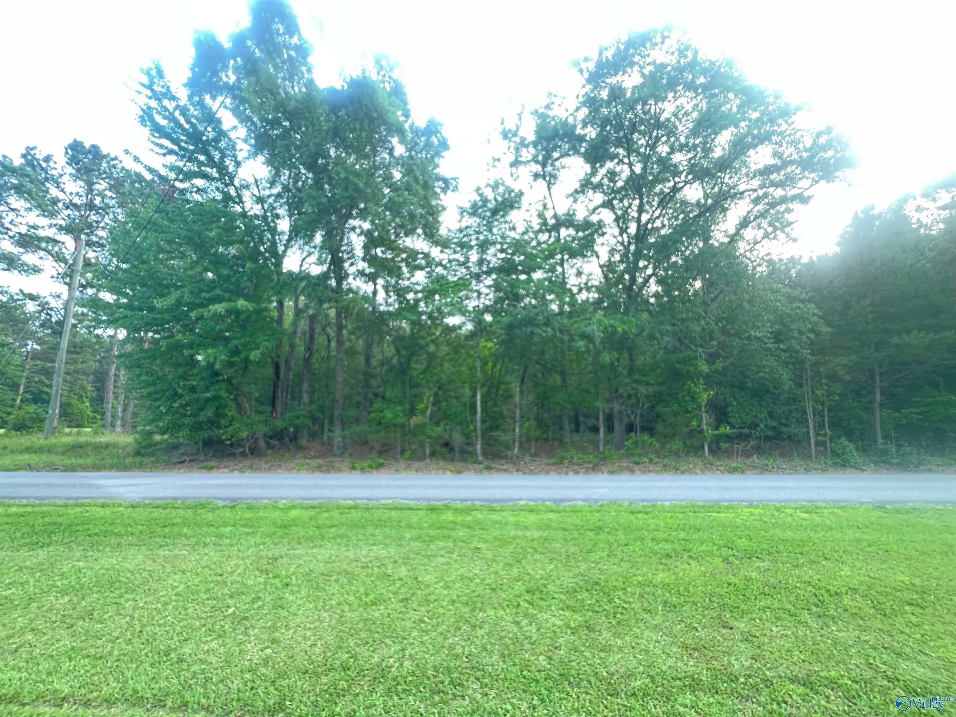 Property Photo: 6.14 Charada Lake Road AL 35906