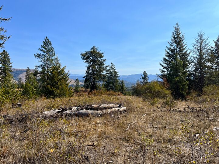 Property Photo:  Tract 2 Cowboys And Angels Ave  WA 99141 