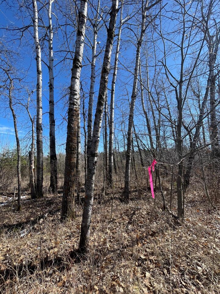 46962 Parcel B 269th Avenue  Laporte MN 56461 photo