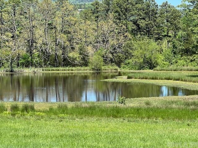 Property Photo: 164 Polk Road 714 AR 71953
