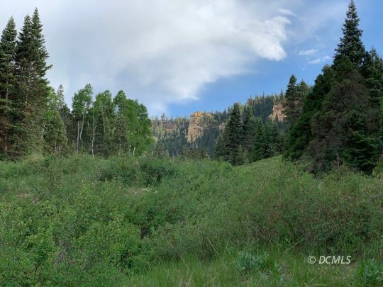 Property Photo: Ashdown Gorge UT 84720