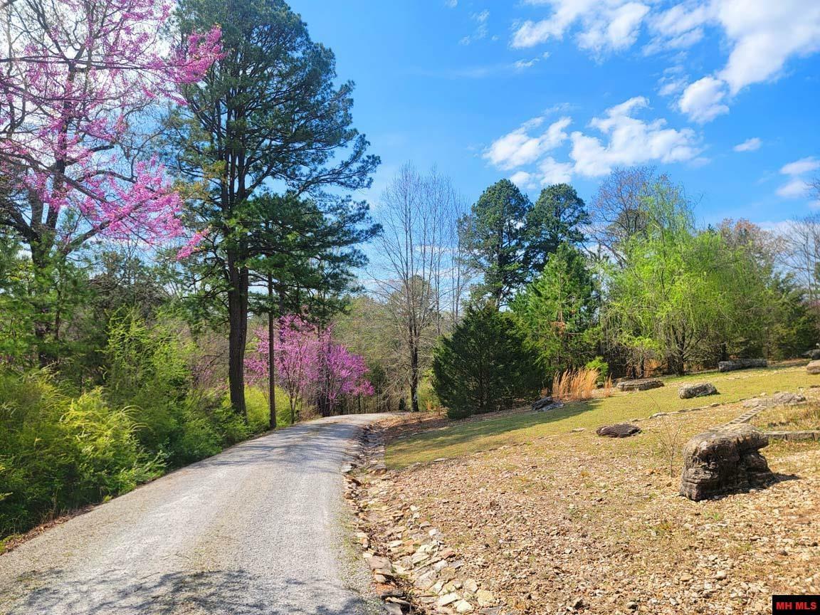 Property Photo: 1483 Chessmond Ferry Road AR 72519