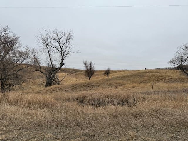 13100 72nd St Lot #4  Sawyer ND 58781 photo