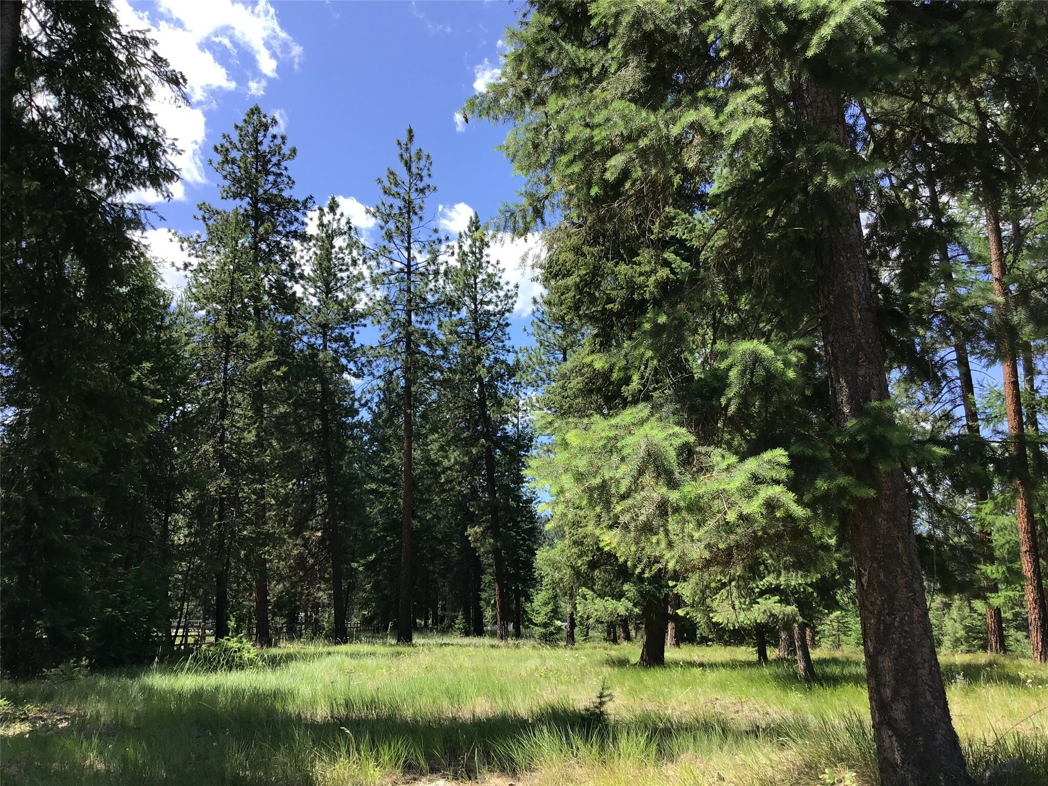 11 River Run Loop  Saint Regis MT 59866 photo