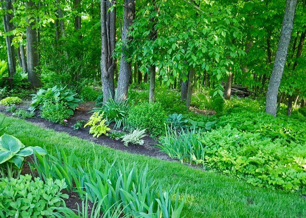 Property Photo: W828 Evergreen Court WI 54767