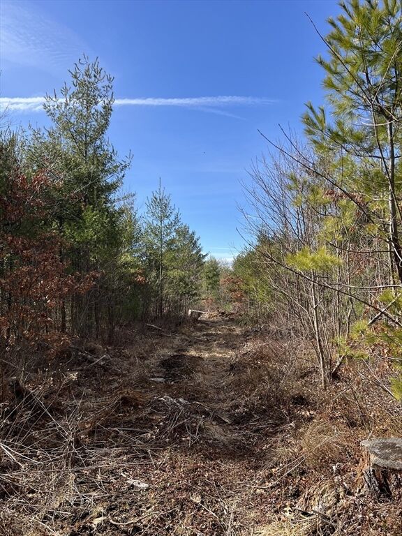 Property Photo:  Lot 5A Munsell Street  MA 01007 