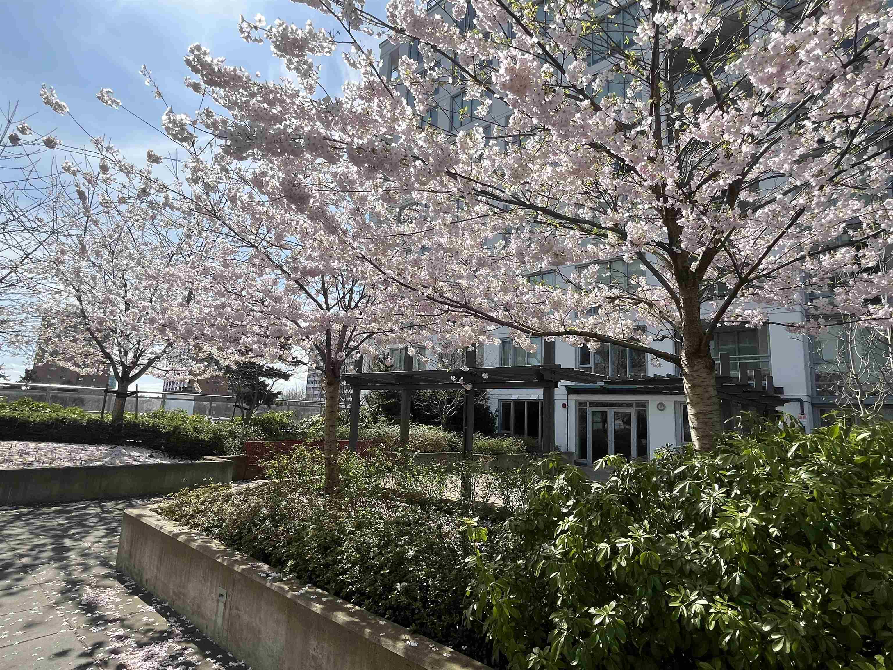 Property Photo: 7333 Murdoch Avenue 1506 BC V6Y 0J8