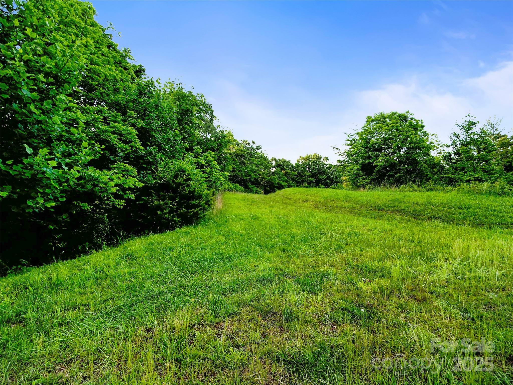 Property Photo: 99999 Bear Creek Road 38 NC 28753