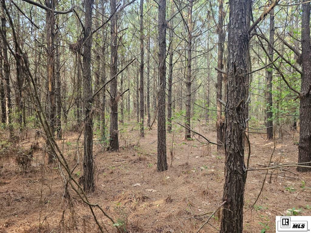 Property Photo: 000 County Line Road LA 71270