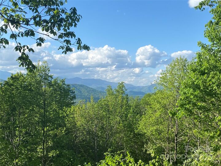 Property Photo: 1099 Mitchell View Drive 915/915A NC 28762