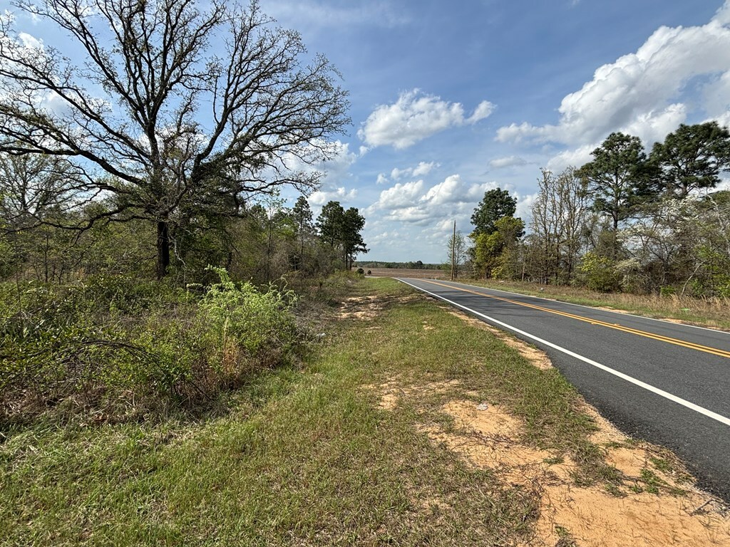 Property Photo:  000 Hayes Road  GA 31058 