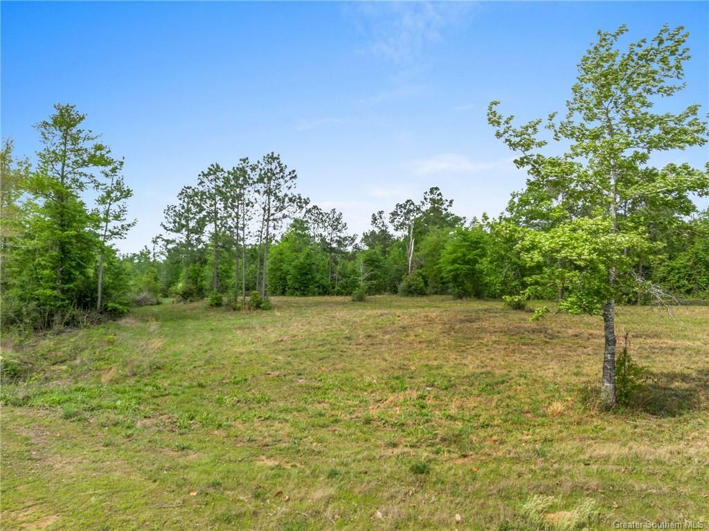 Property Photo: 0 Coffey Farms Road LA 70611
