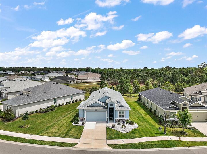 1966 Wallingford Loop  Mount Dora FL 32757 photo