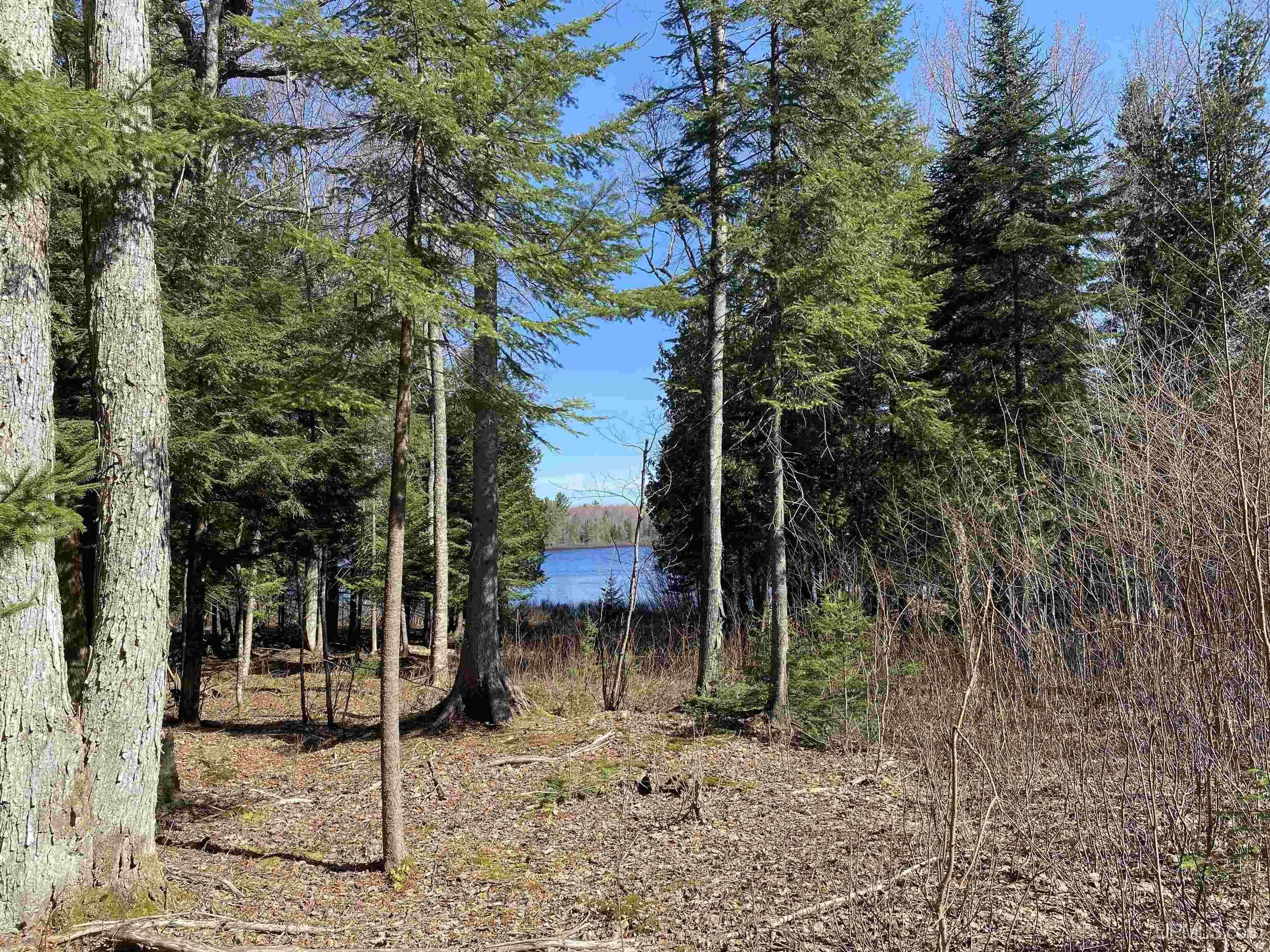 Property Photo: Tbd Lot 23 Keweenaw Pass MI 49945