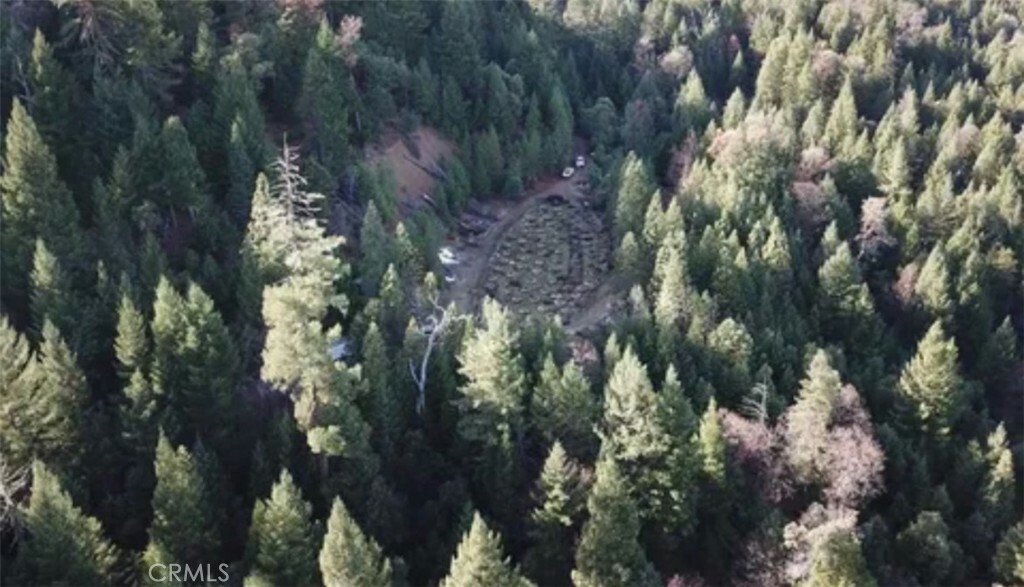 34530 Etsel Ridge Road  Covelo CA 95428 photo
