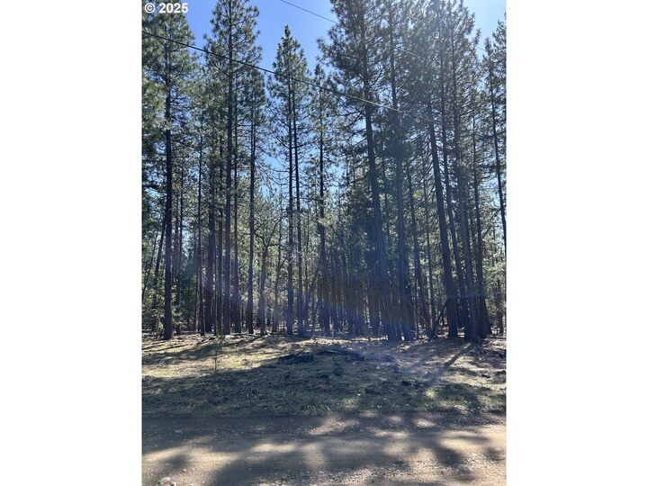Property Photo: Lot 4 Thompson Trail WA 98620