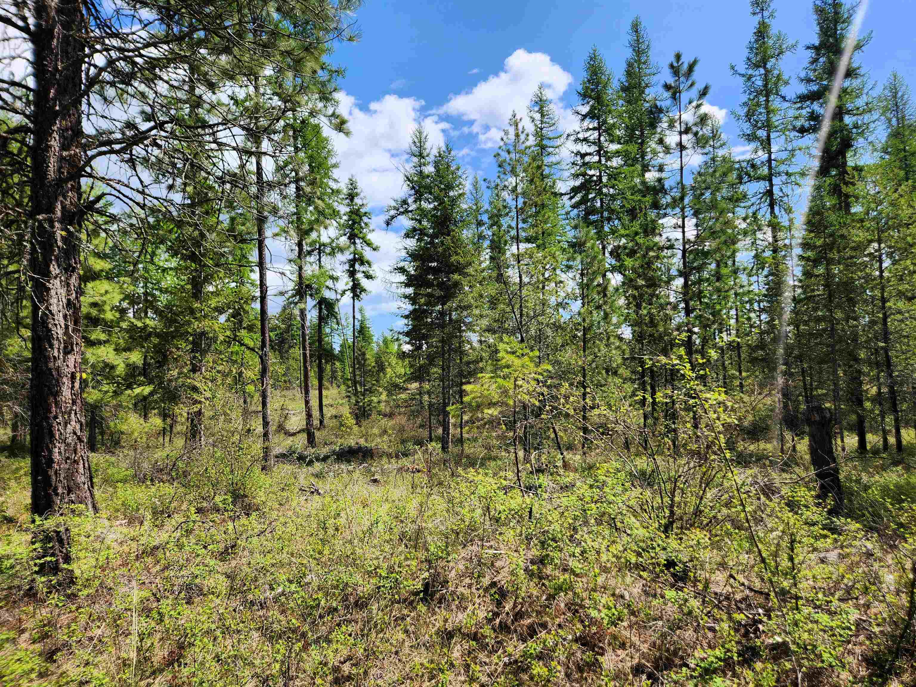 Property Photo: 3669 E Jump Off Joe Rd WA 99139