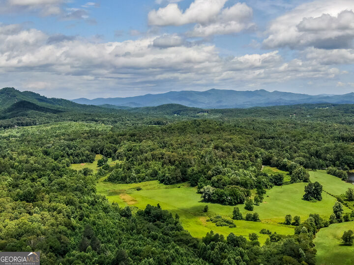 Property Photo:  136 Pack Creek Road  GA 30513 
