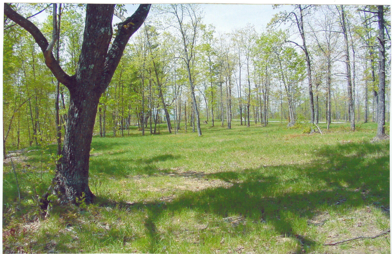 Lot 22 Greenfields Way S.  Dunlap TN 37327 photo