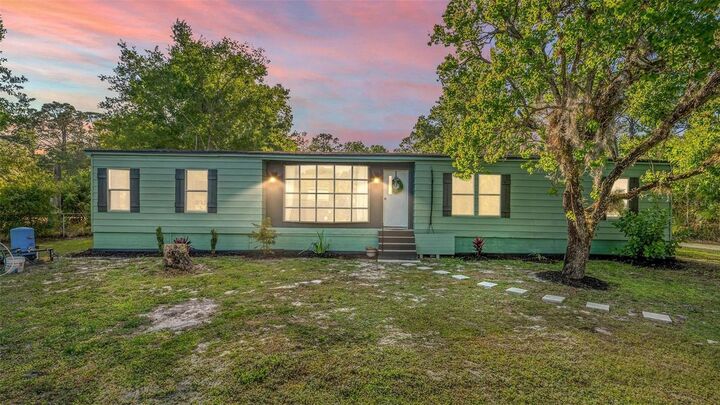 1236 Saint Catherine Avenue  Christmas FL 32709 photo