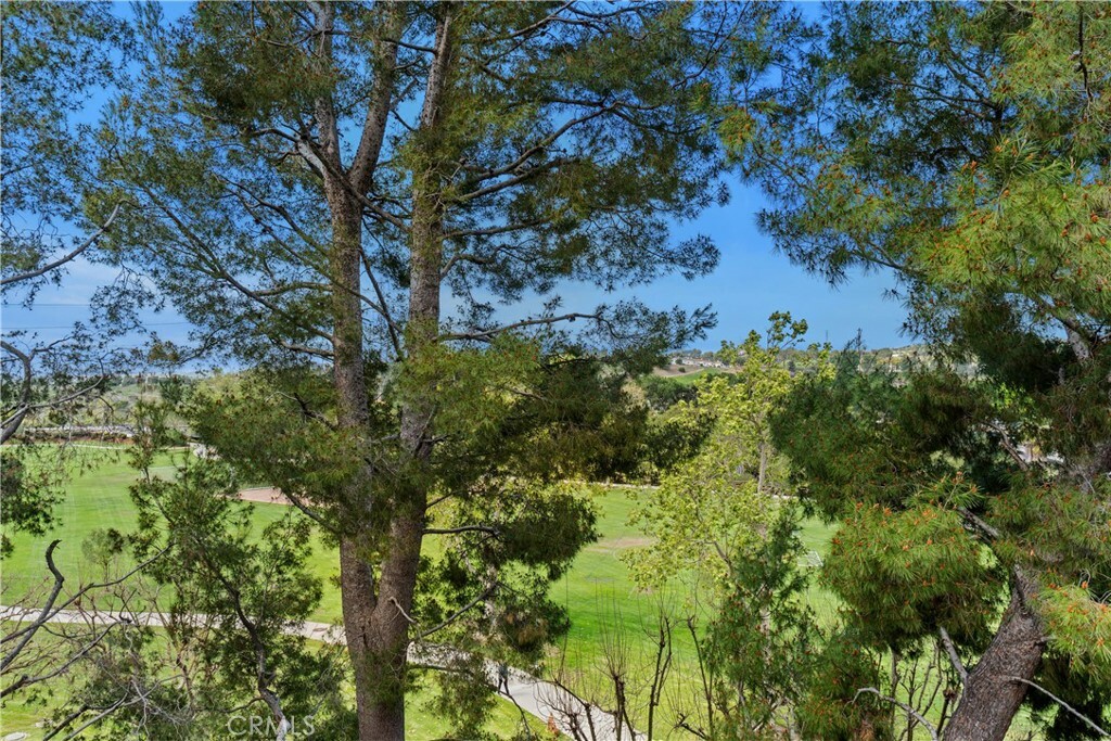 Property Photo: 25521 Indian Hill Lane L CA 92653