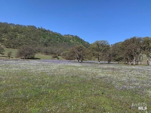 Property Photo:  2730 Smith Lane  CA 95422 